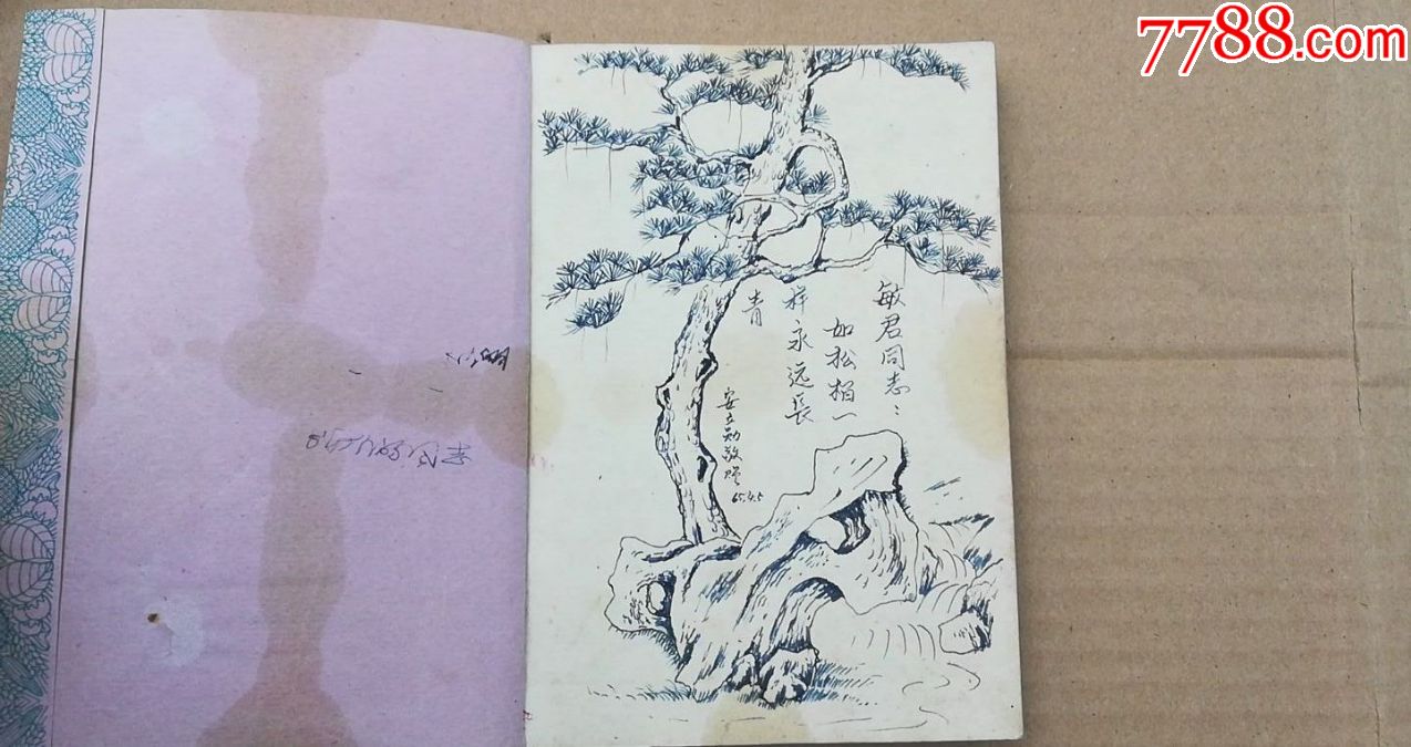 1964年下乡知青日记本赠送本扉页手绘画怪石青松,末页手绘牡丹,难得一