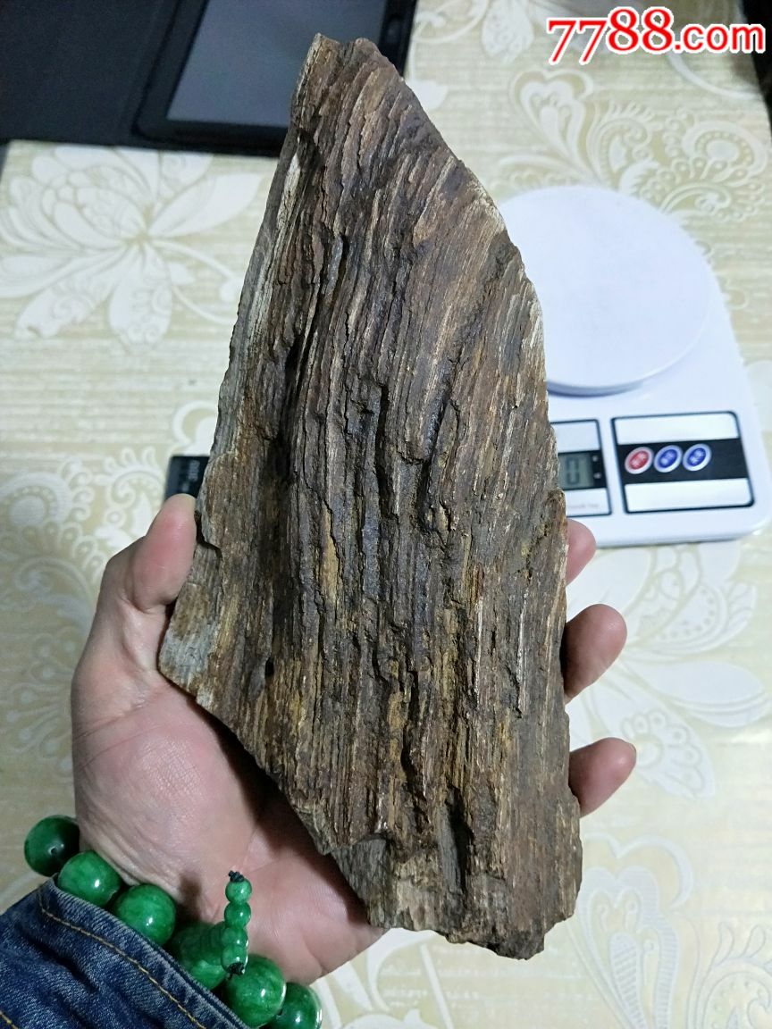 天然【木化石原石】,重量:1262克,木化石玉化,奇石,天然纹路,大摆件.