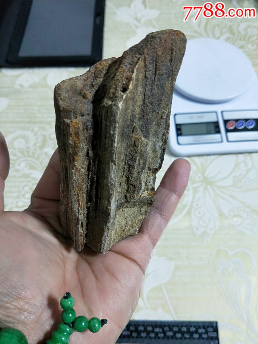 天然【木化石原石】,重量:234克,木化石玉化,奇石,天然纹路,大摆件.
