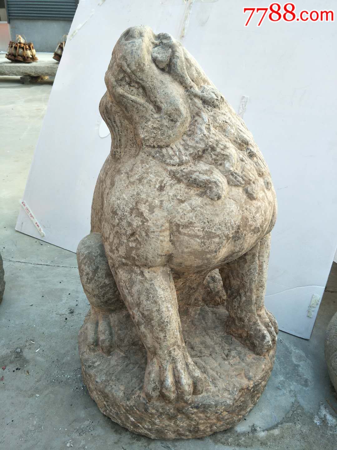 5品99唐代青石狮子,品相完好￥22,0009.5品99明代汉白玉旗杆狮一