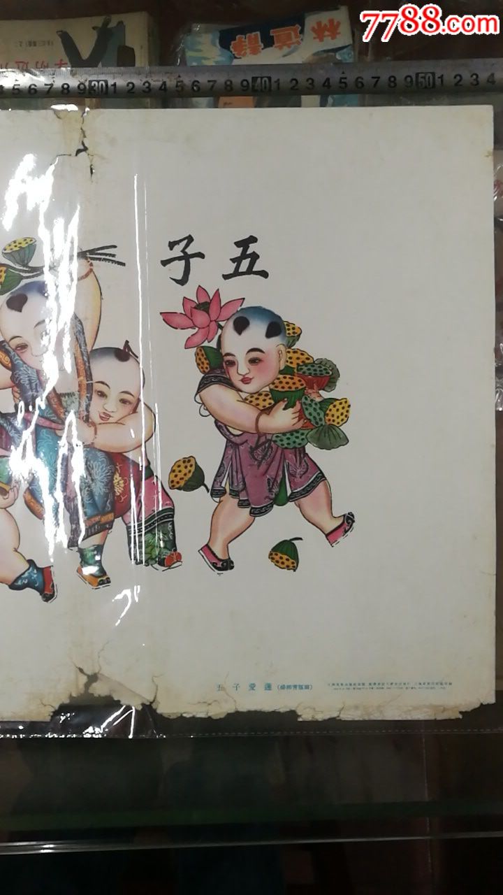 五子爱莲(56年杨柳青年画有版权52#38cm