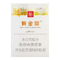 黄金叶炫尚