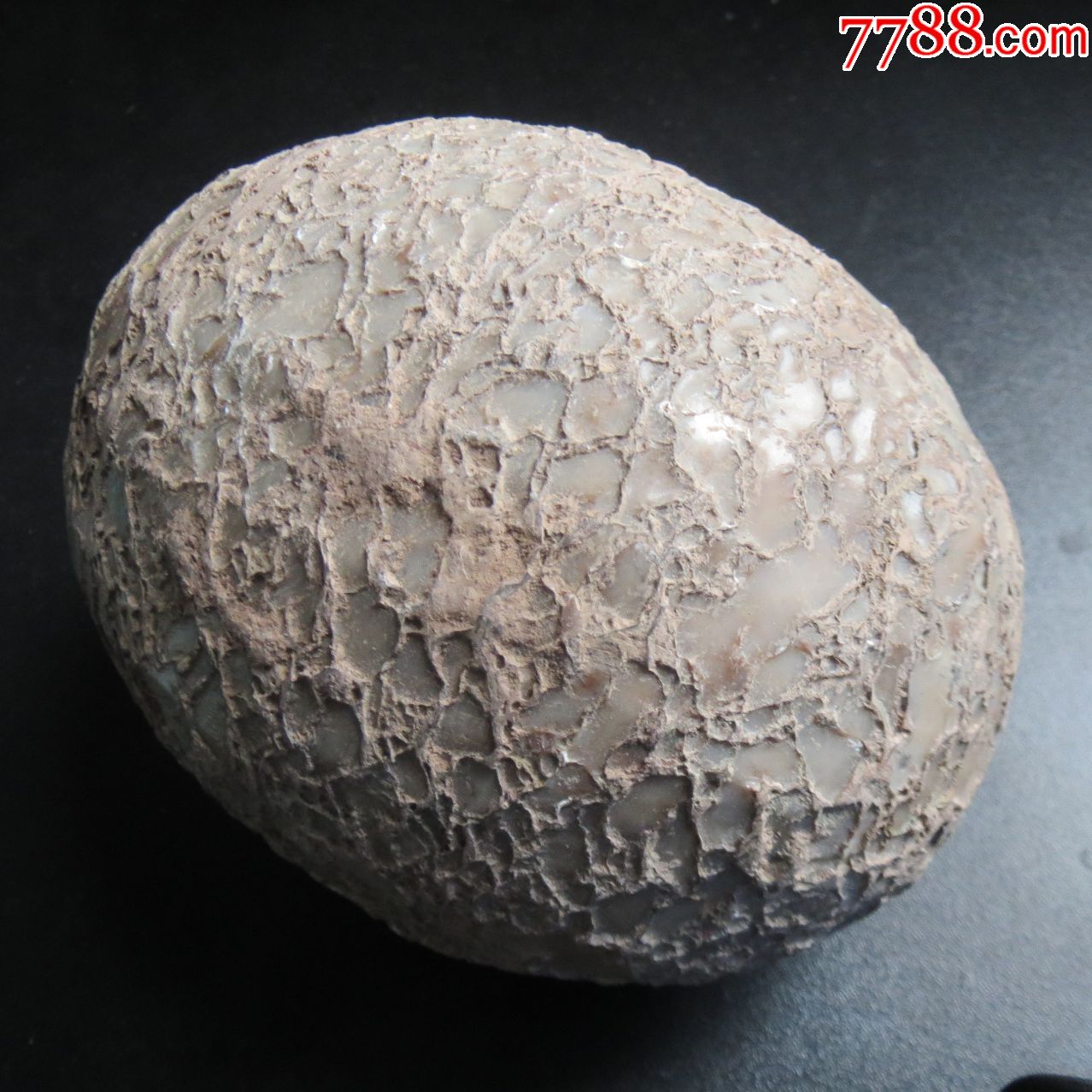 蛋形石_其他奇石/岩石_第1张_7788奇石收藏