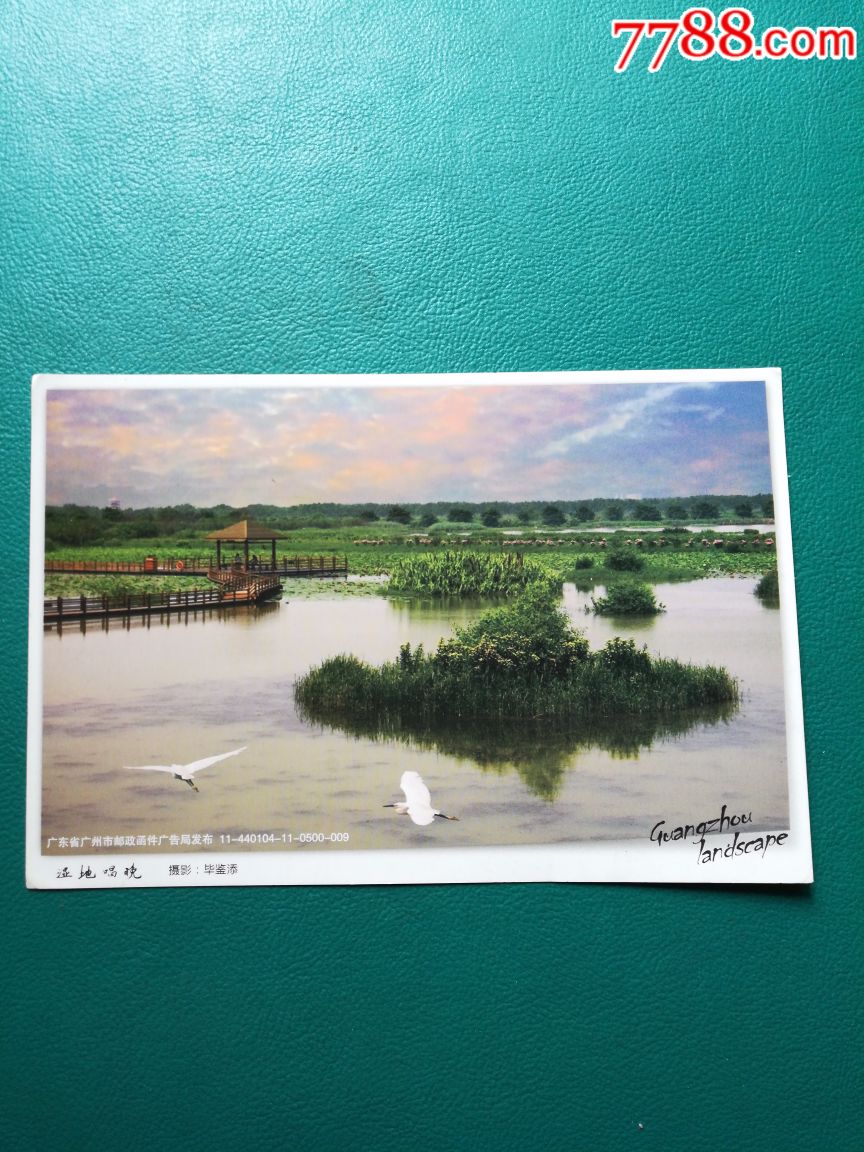 广州湿地公园明信片