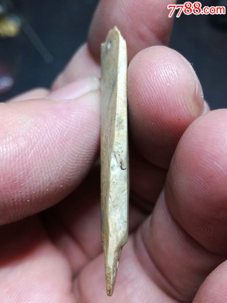 汉三刀蝉