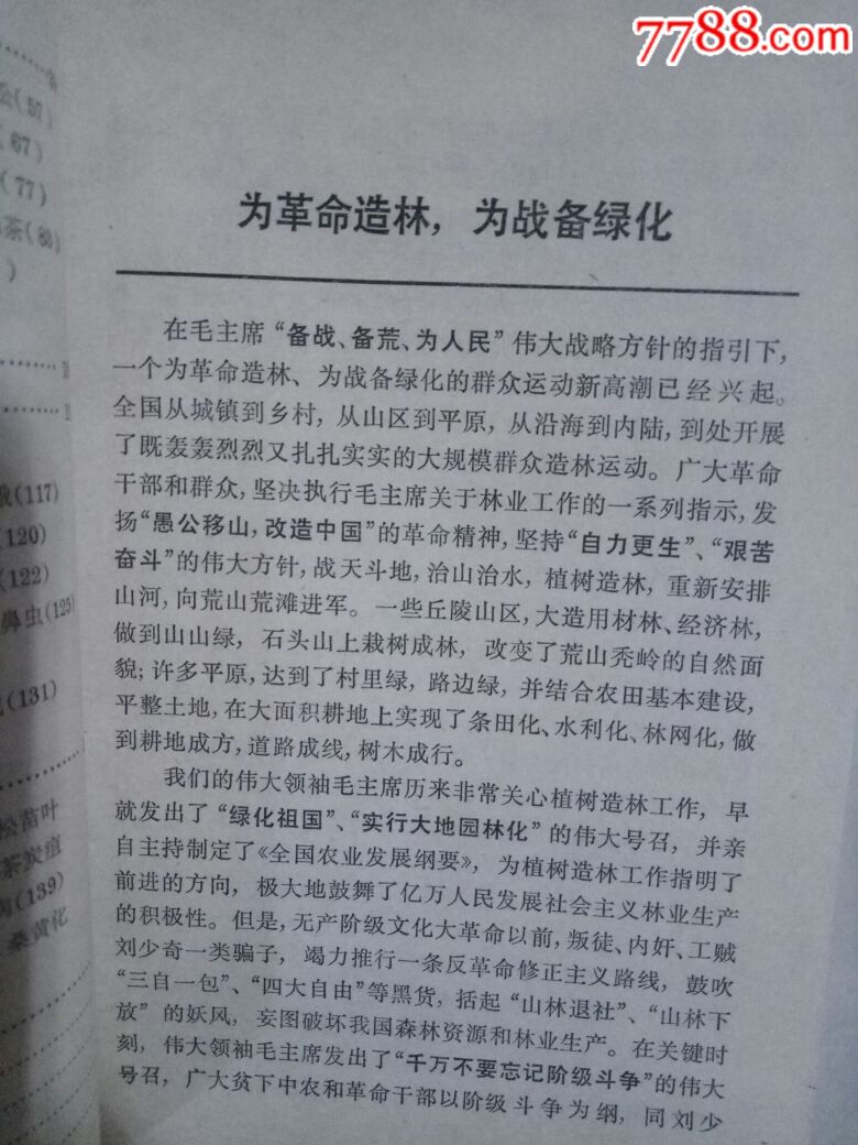 造林 小斑作业设计图