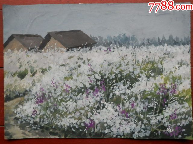 60—70年花卉风景图水粉画