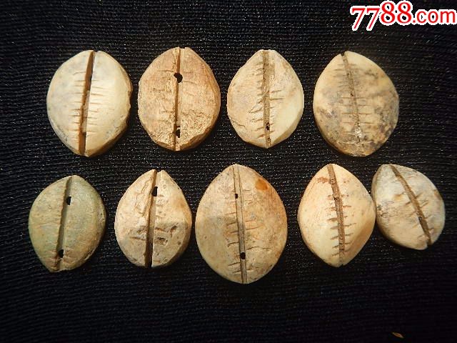 九枚商周骨贝币