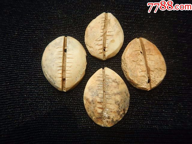 九枚商周骨贝币_价格1800.0000元_第7张_7788收藏__收藏热线