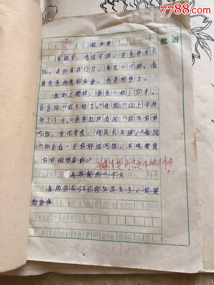 16开作文本