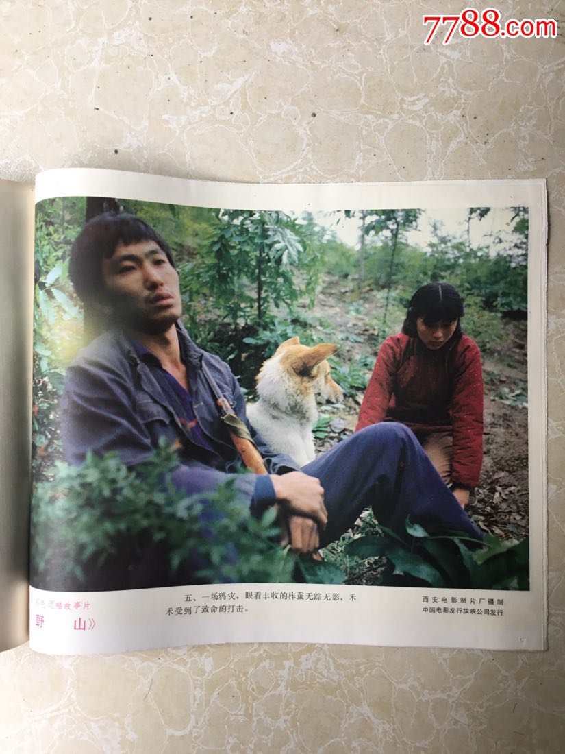 《野山》电影剧情剧照(8张全)