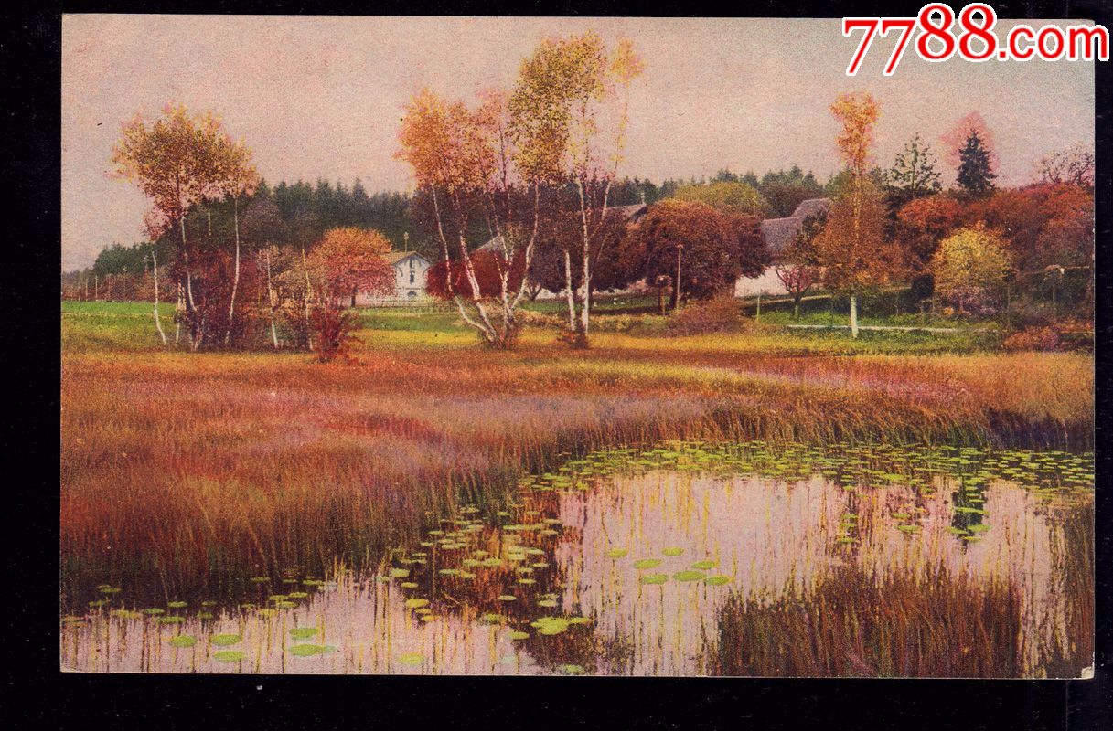 满洲国民国明信片秋季白桦风景