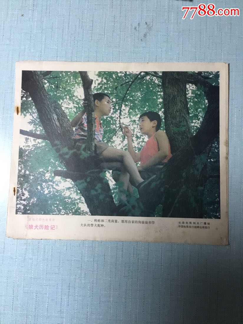 《狼犬历险记》电影剧情剧照(8张全)