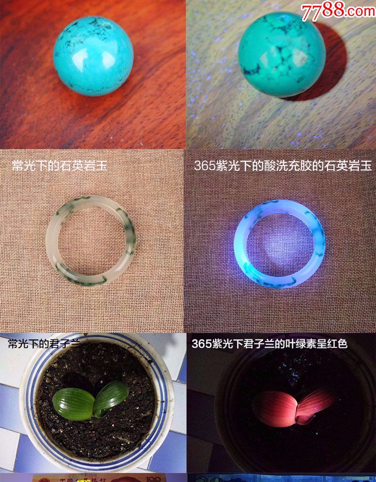 测笔婴儿365nm紫光灯手电价格质量 哪个牌子比较好