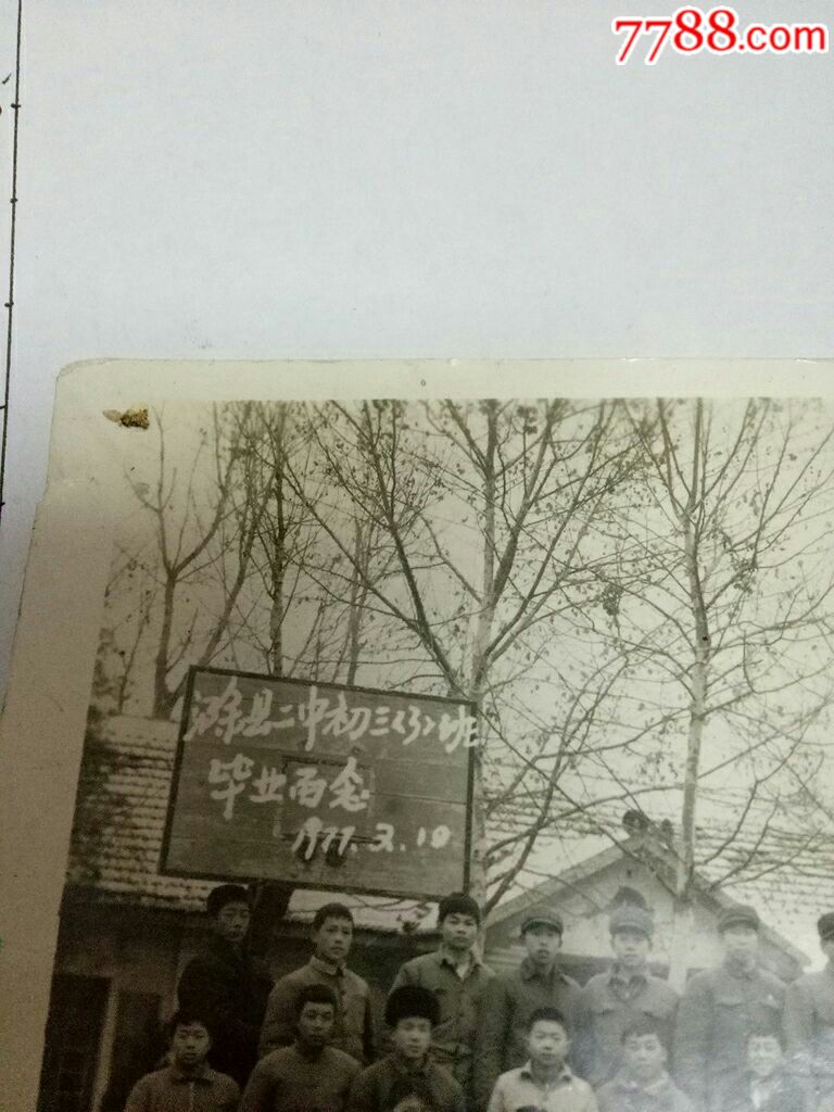 1977年滁县二中毕业留念-se60127194-老照片-零售