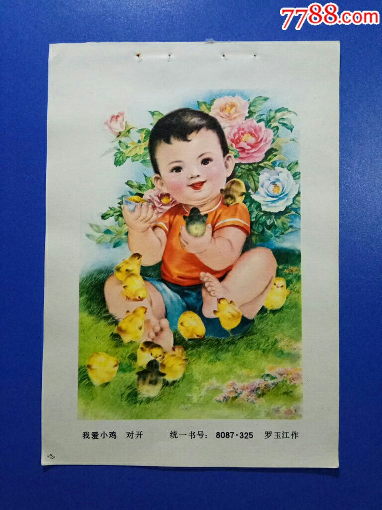 我爱小鸡-罗玉江作