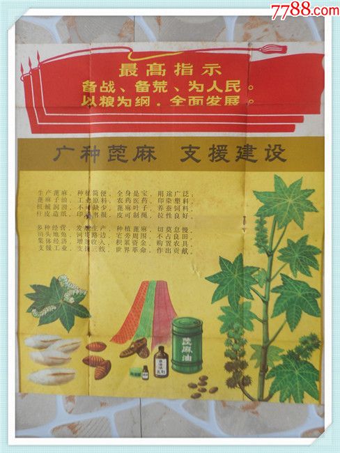 文革广告:广种萞麻支援建设最高指示纸质品