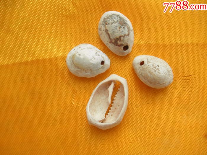 远古___原始贝币4组(4枚)_古币_盛世华堂【7788收藏__收藏热线】