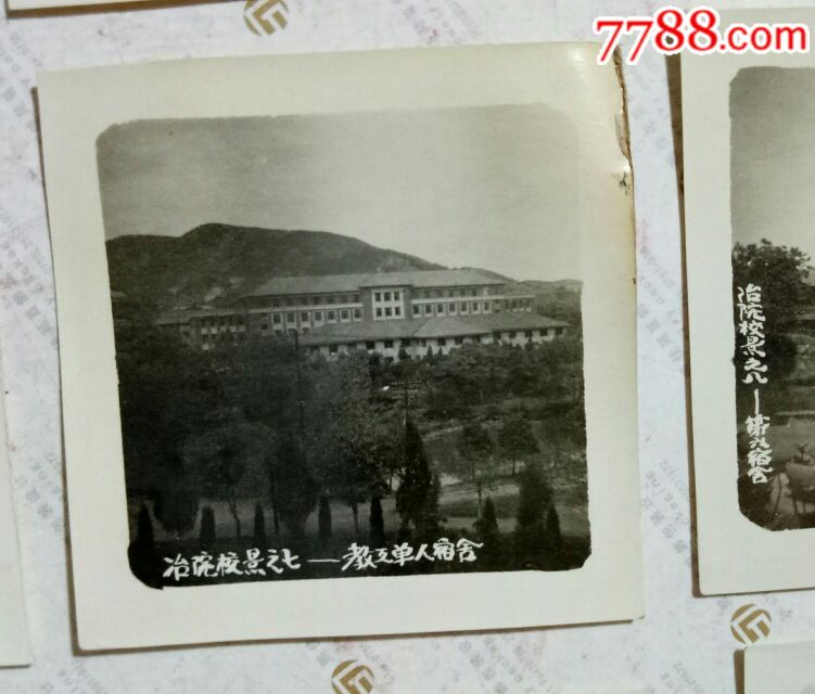 武汉科技大学中南分校城市建设学院_中南民族大学经济学院_中南矿冶学院