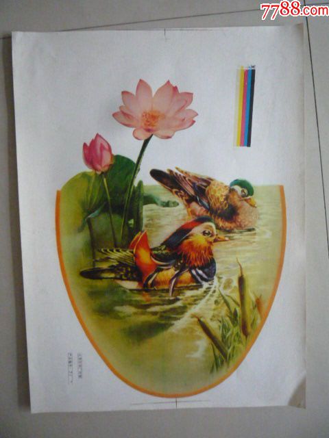 年画镜画鸳鸯