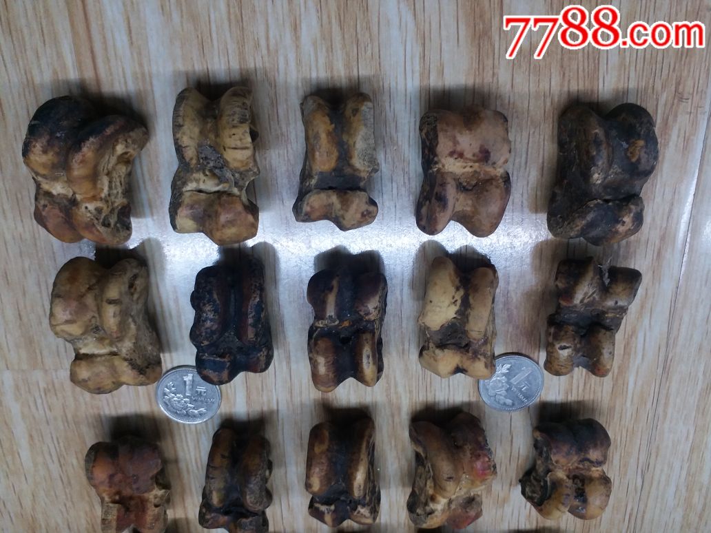 清代旮旯哈