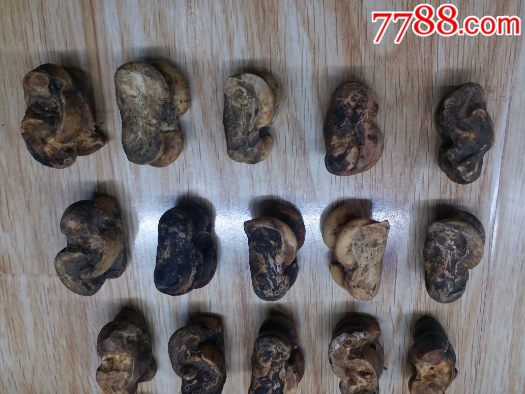清代旮旯哈