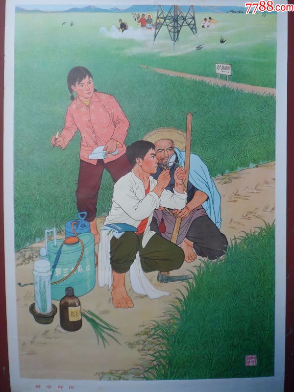 文革年画科学种田(1972年1版1印浙江人民出版社出版,年画/宣传画_第1