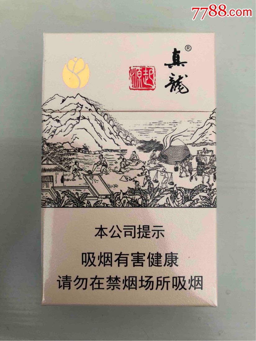 真龙(起源)