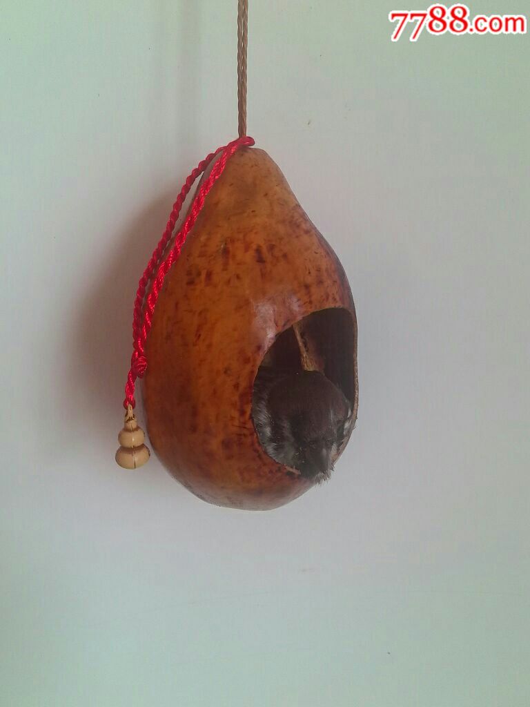 小破旧葫芦制作小麻雀窝挂件.