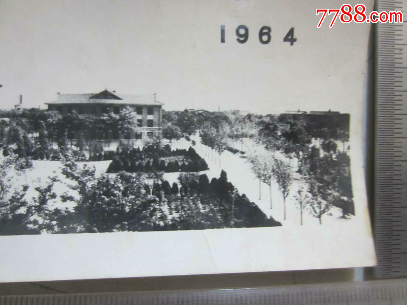 天津大学(老照片)