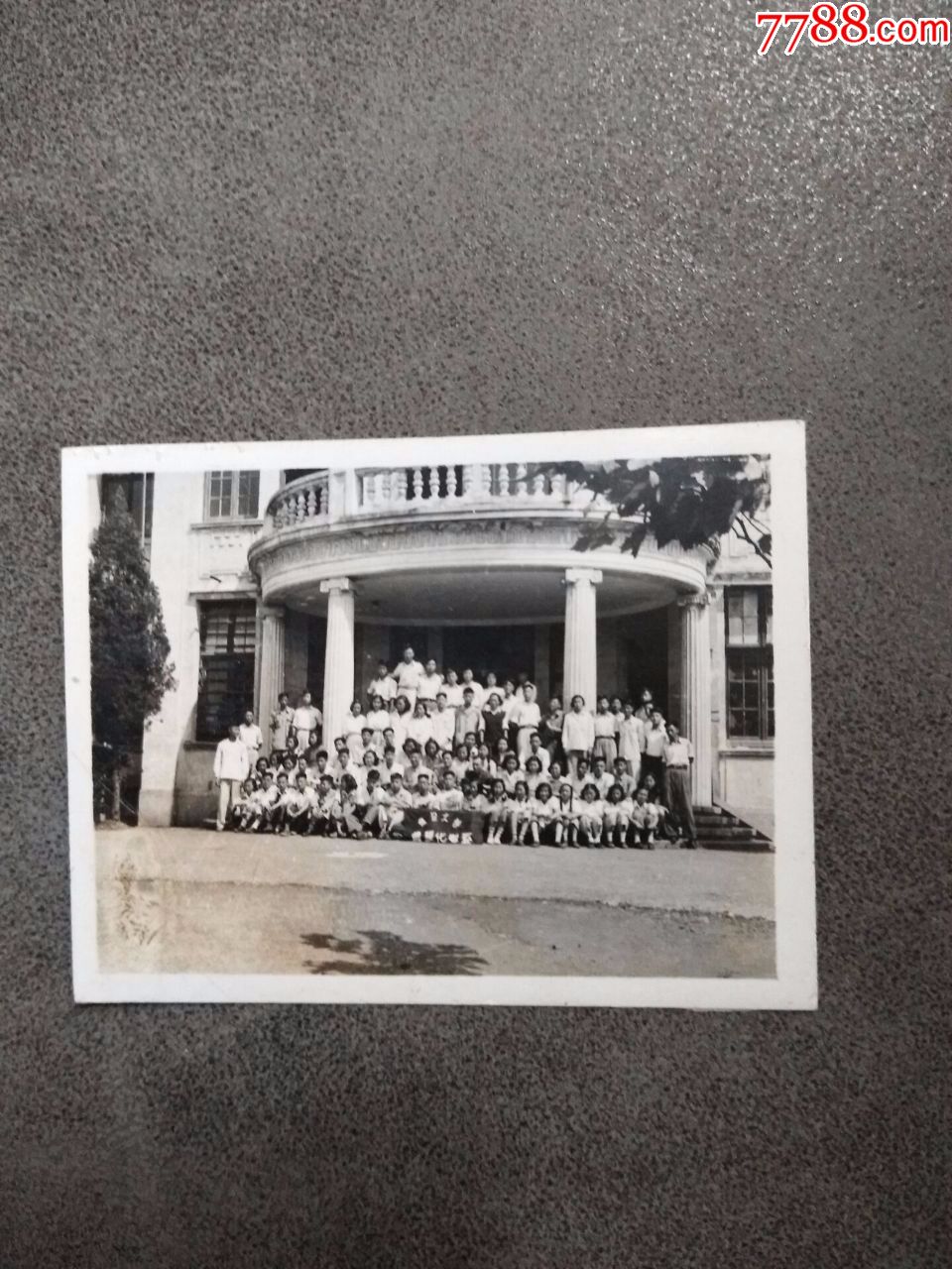 1951年照片---复旦大学农业化学系,老照片_第1张_7788老照片