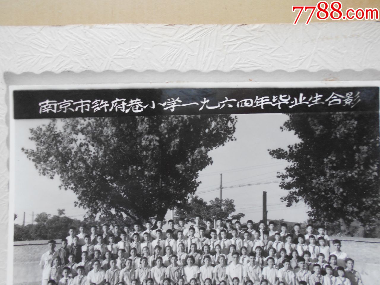 老照片【南京市许府巷小学1964年毕业生合影】