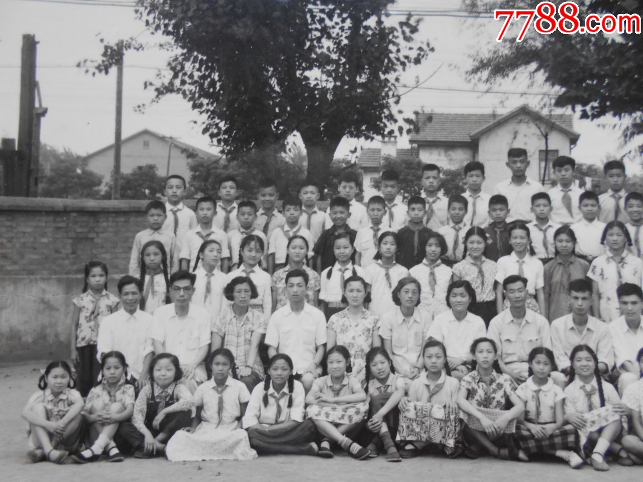 老照片南京市许府巷小学1963年毕业生合影