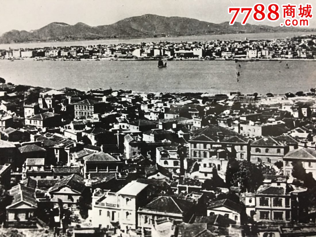 1955年厦门鼓浪屿全景新闻照片