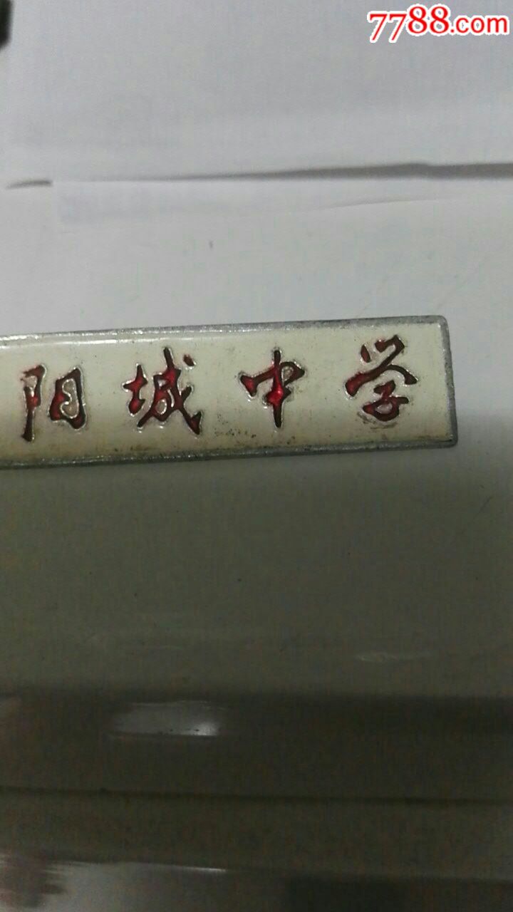 阳城中学