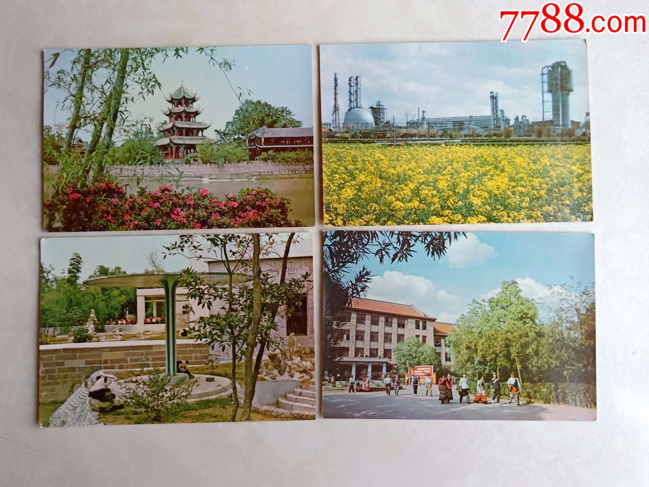 成都(明信片12张)