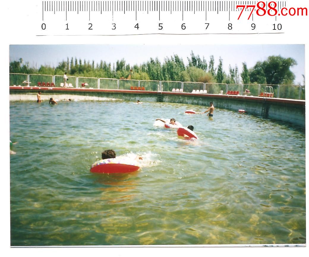 老照片,游泳,看好