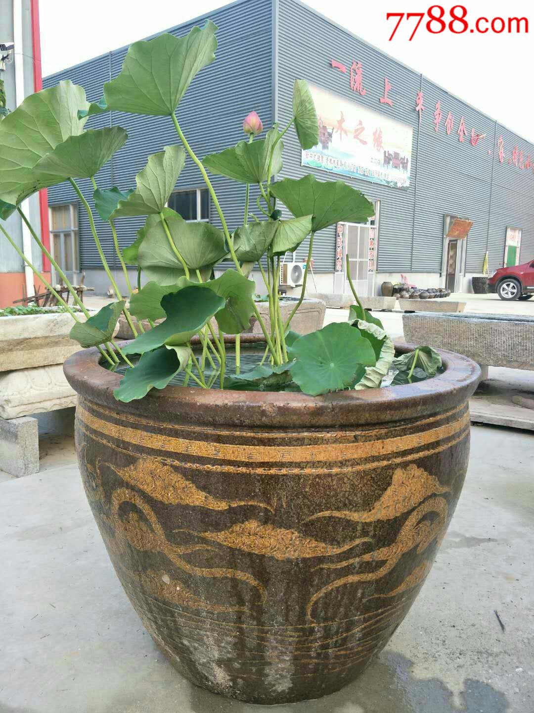 清代荷花大缸一个