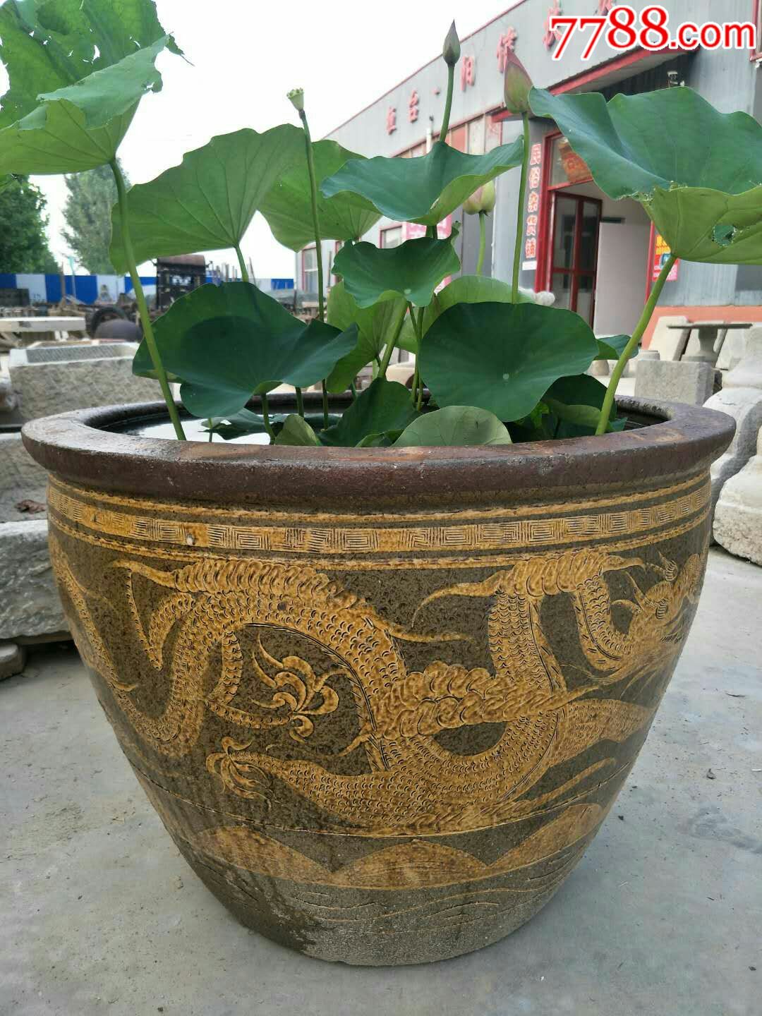 清代荷花大缸一个