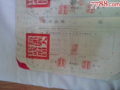 1954年新邵县人民政府统购粮食通知书(通知联