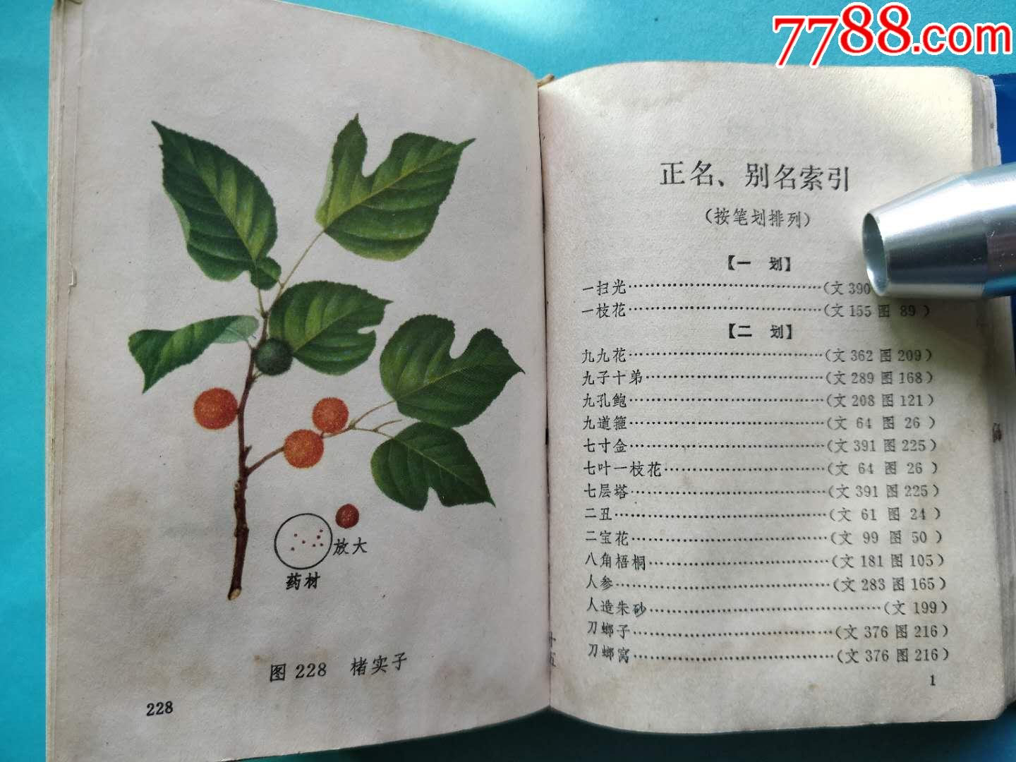 常用中草药图谱-医书/药书-7788收藏__收藏热线