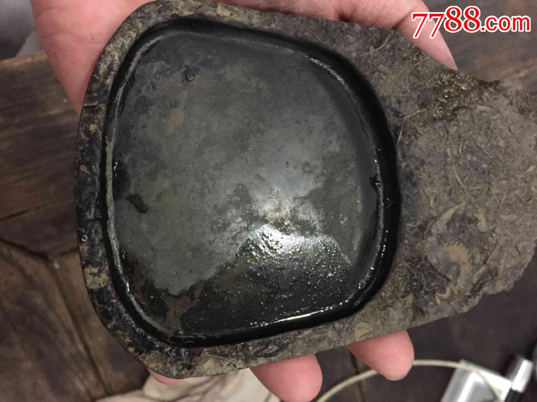 三叶虫化石砚台