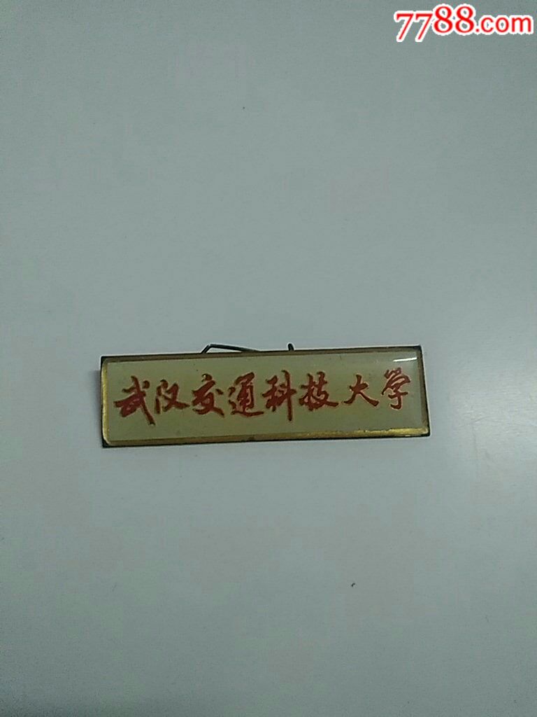 武汉交通科技大学