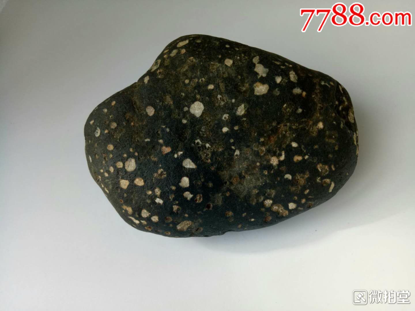雪花碳质陨石(无磁,陨石,陨石把件,矿物晶体,云南,5--10厘米_第7张