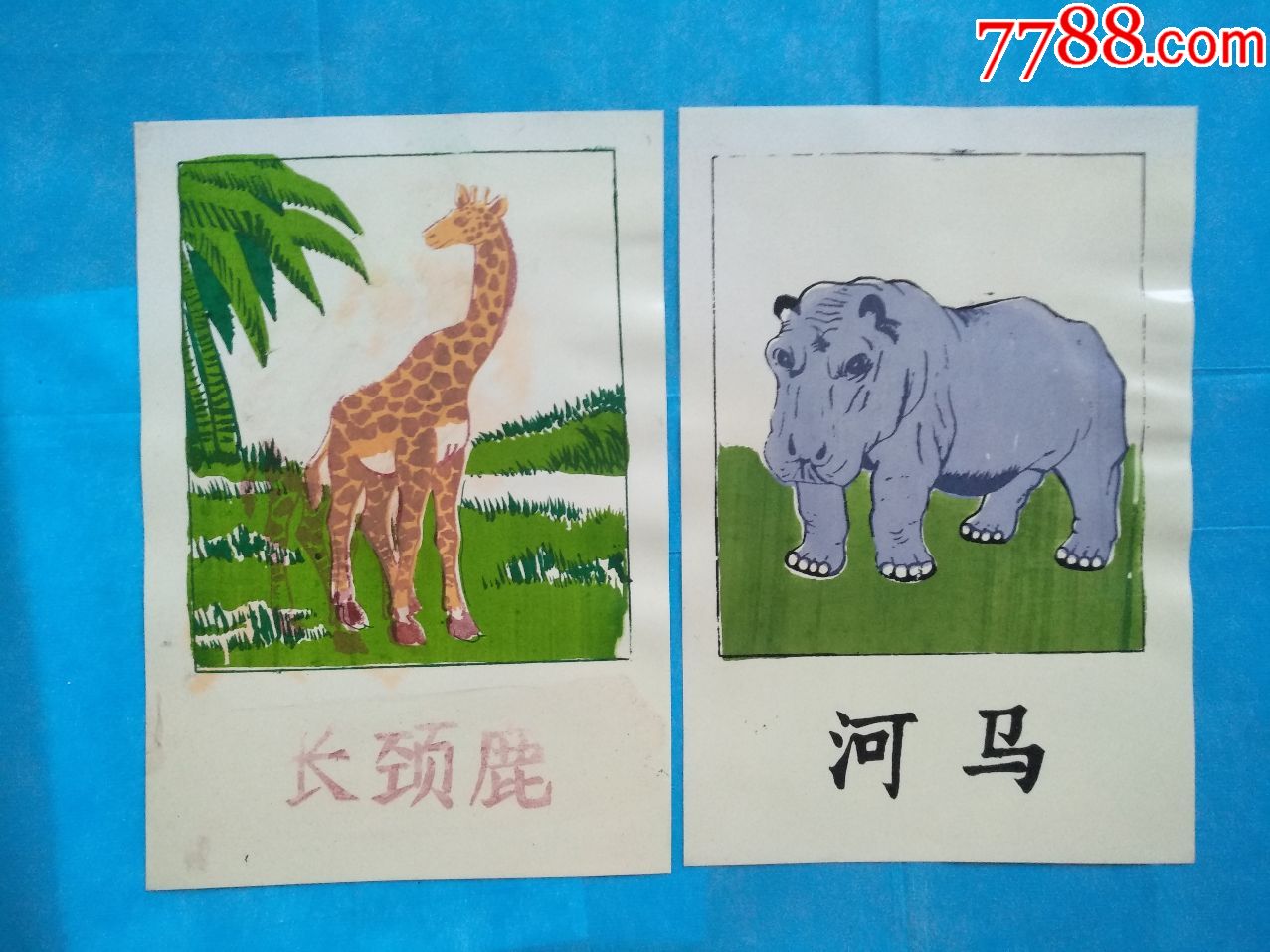 幼儿看图认物—动物图片21张(塑料)