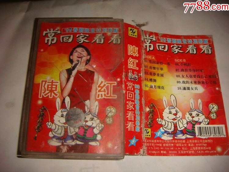 陈红99春节联欢晚会特别奉献常回家看看