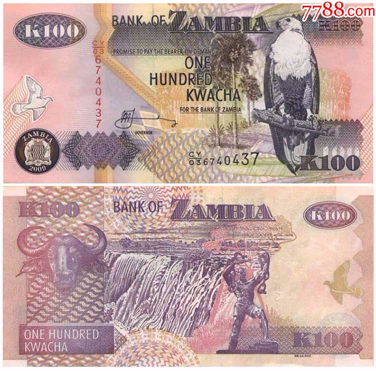 全新赞比亚100克瓦查(海雕版)纸币 非洲外币外国钱币收藏品