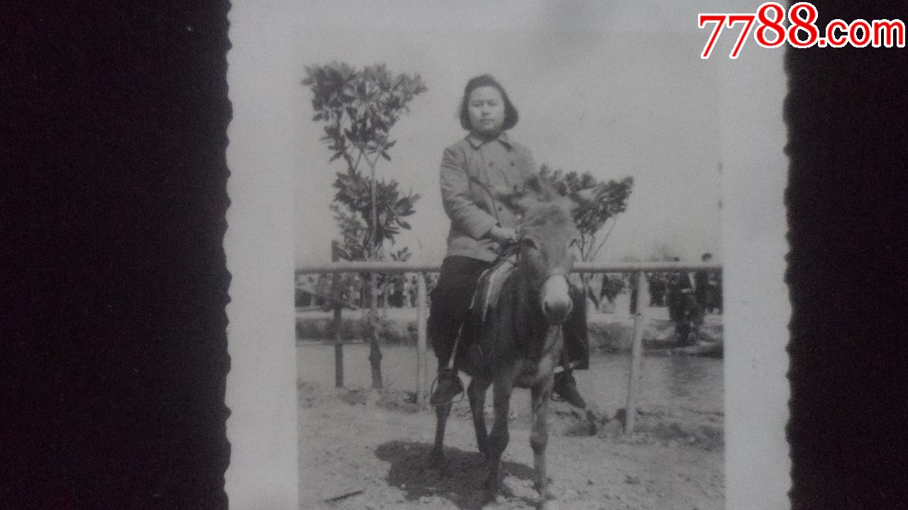 1953年,骑驴的惠萍,上海漕河泾-老照片-7788收藏