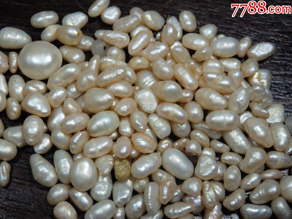 现代工艺品-珍珠一堆_价格2000.0000元_第2张_7788收藏__中国收藏热线