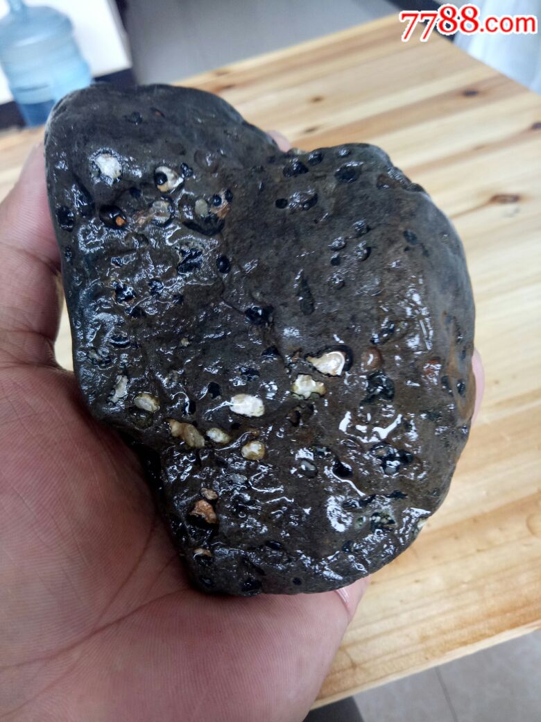 碳质石铁陨石(弱磁